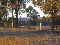 Sunlight on frosty paddock